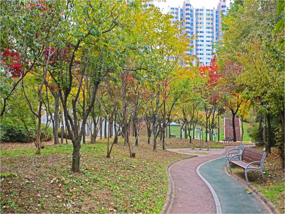 새삶 이미지