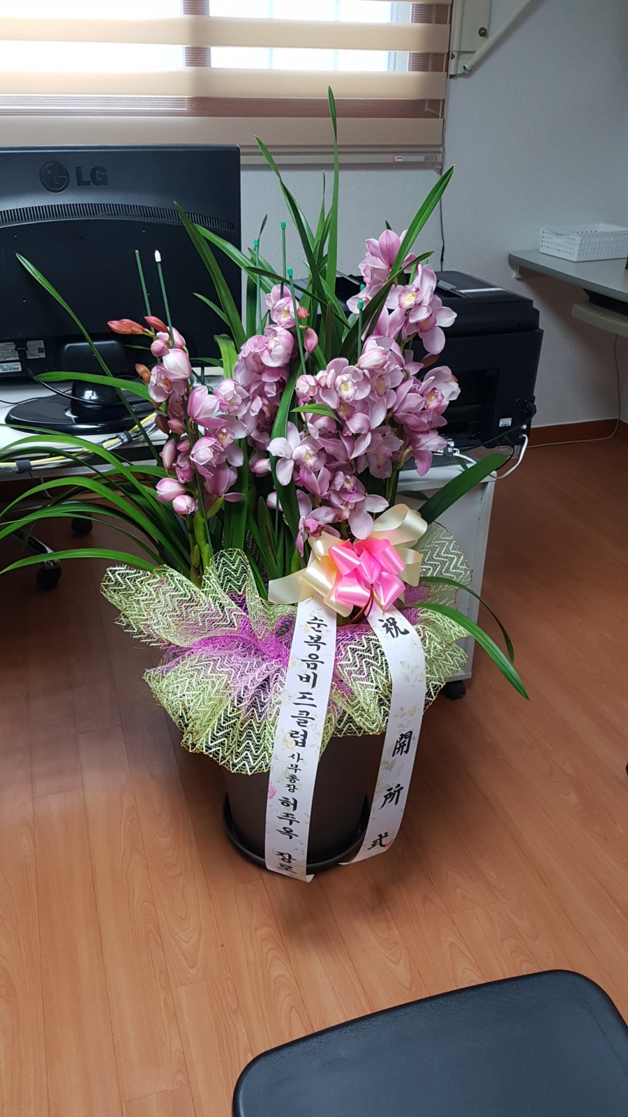 (주)비지팅엔젤스코리아 이미지