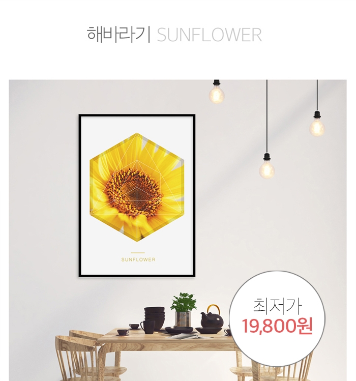 패.완.요 이미지