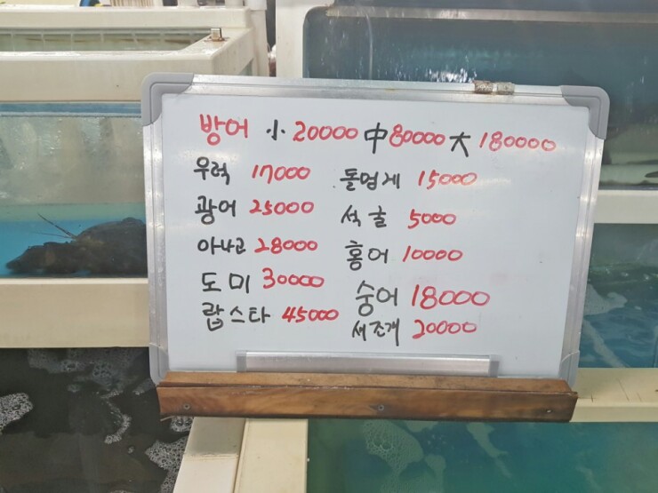 어장회센타 이미지