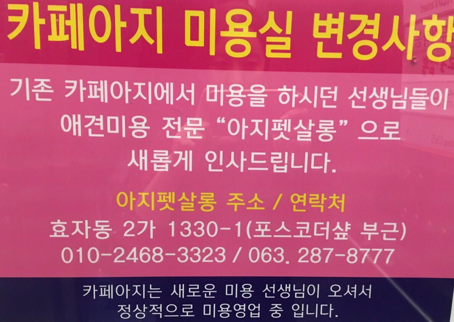 순이살롱 이미지