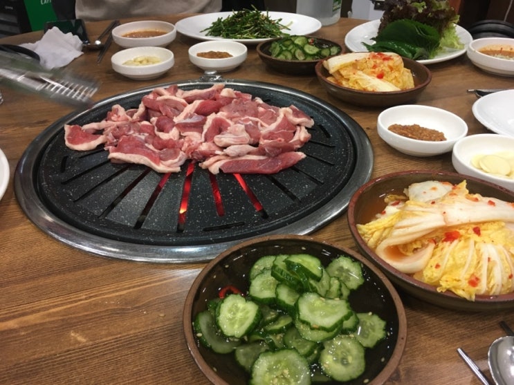 낙동생오리 이미지