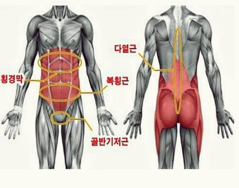 클린짐휘트니스 이미지