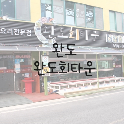 완도회타운 이미지