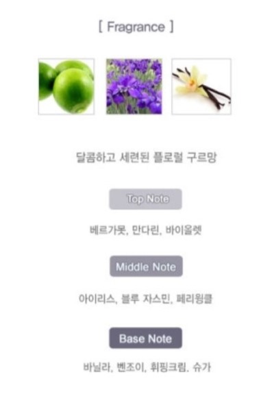 임브레이스 이미지
