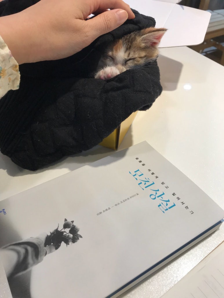 책방주의 이미지