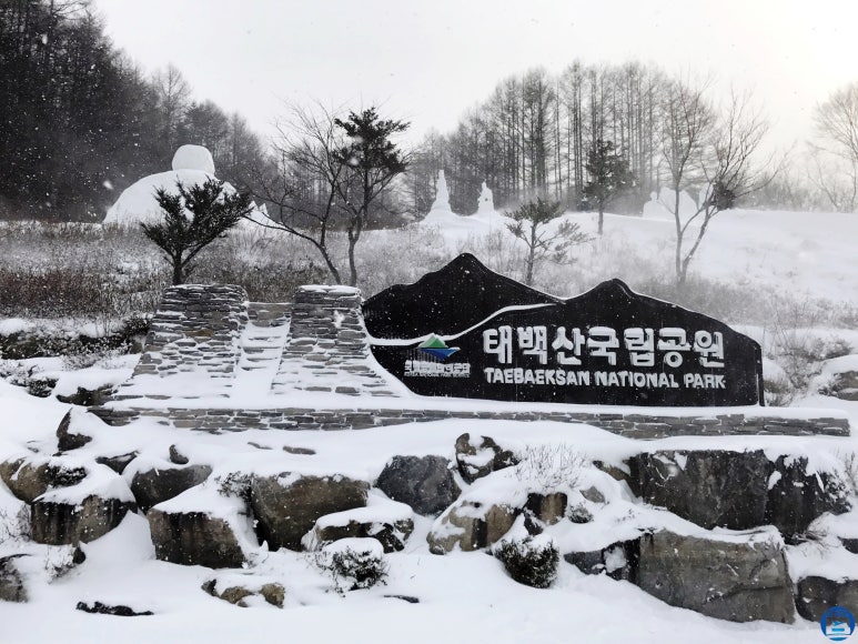 태백산식당·튀김 이미지