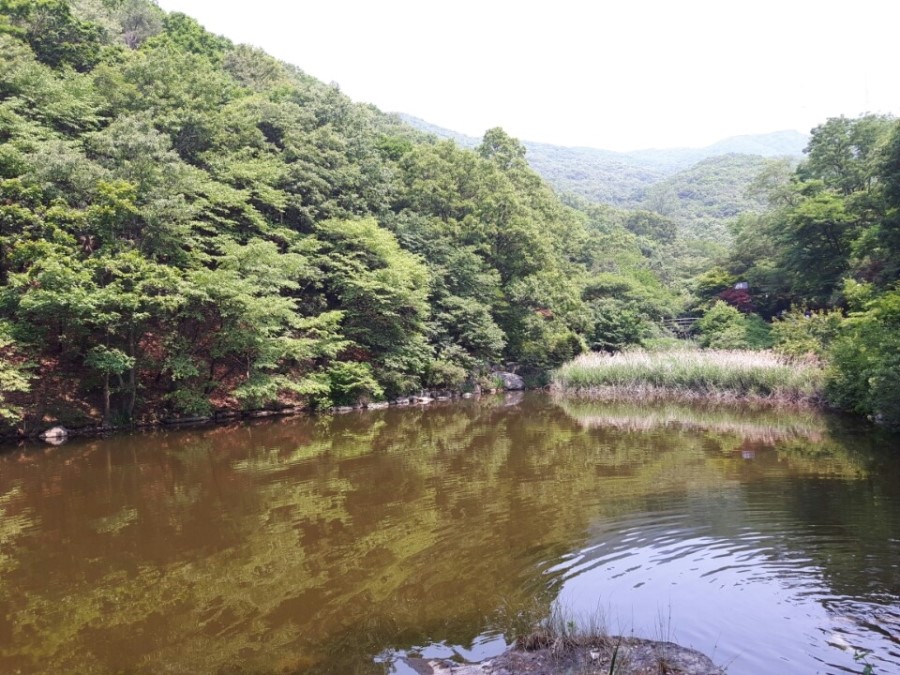 정평법무사법인 이미지