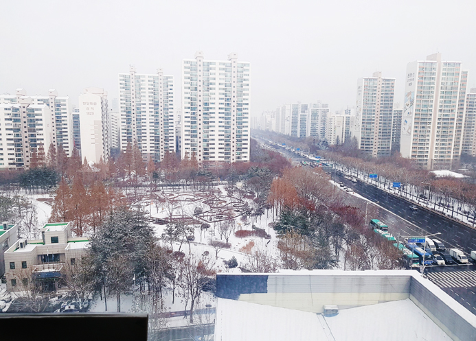 비누정원 이미지