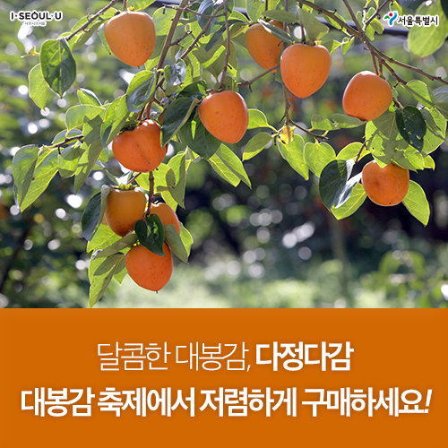 풍년농산물직거래장터 이미지