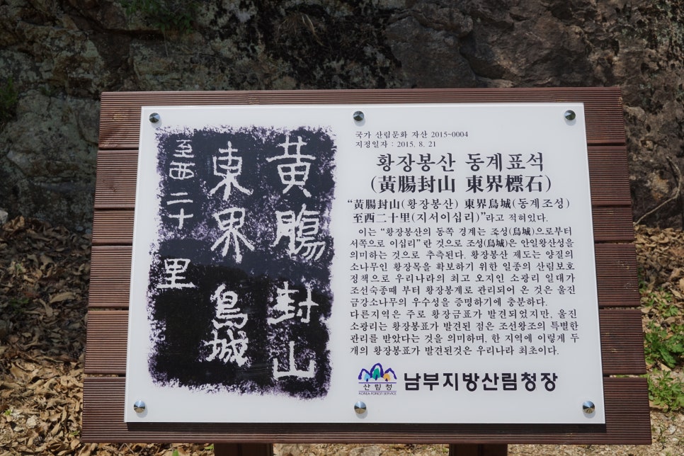 금강자연약초 이미지