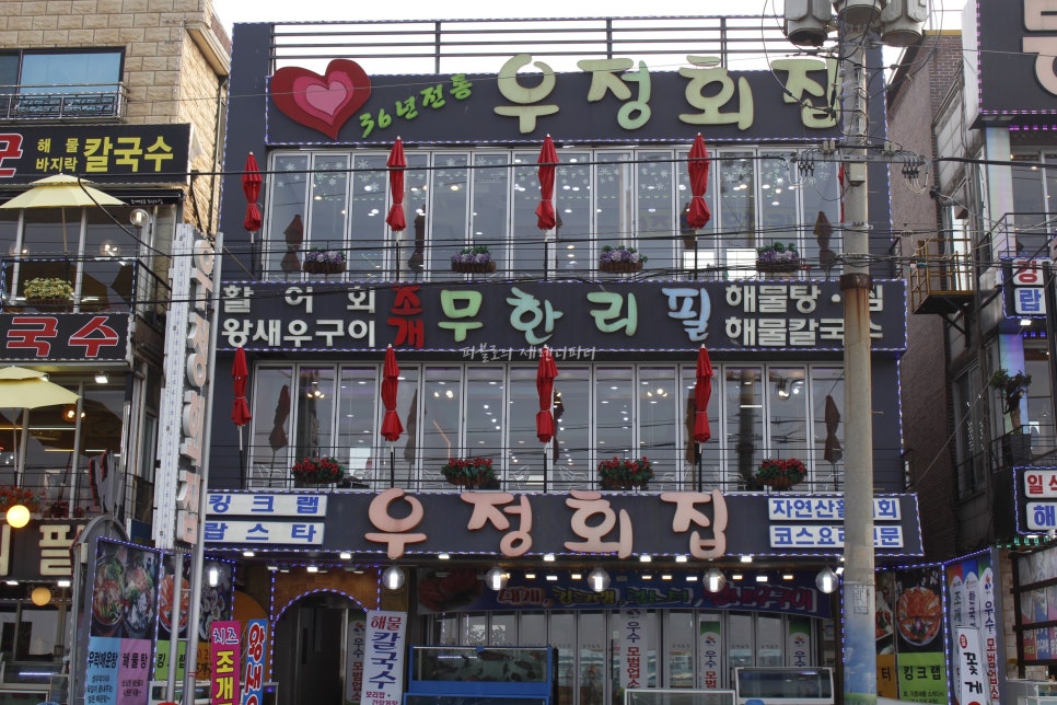 우정회집 이미지