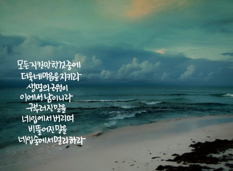캘리 이미지