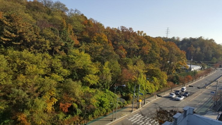 감나무요양원 이미지