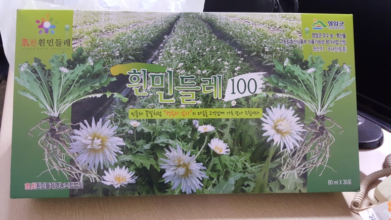 기찬흰민들레 영농조합법인 이미지