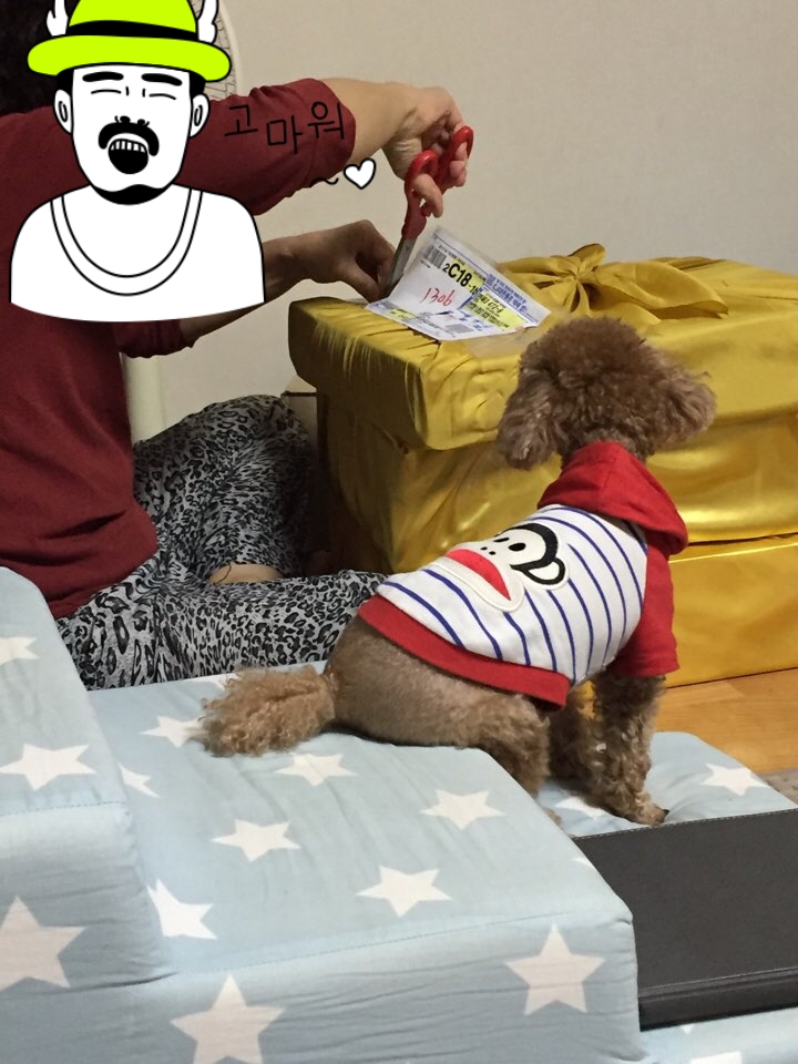 성꼬미 이미지