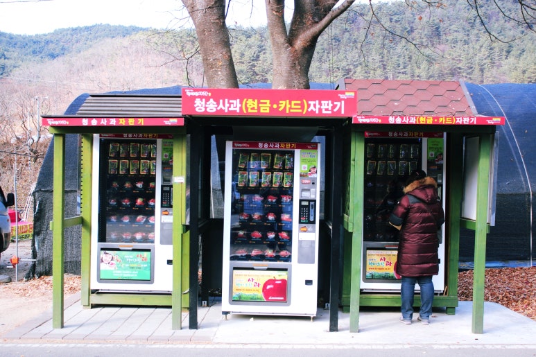청송대표식품 이미지