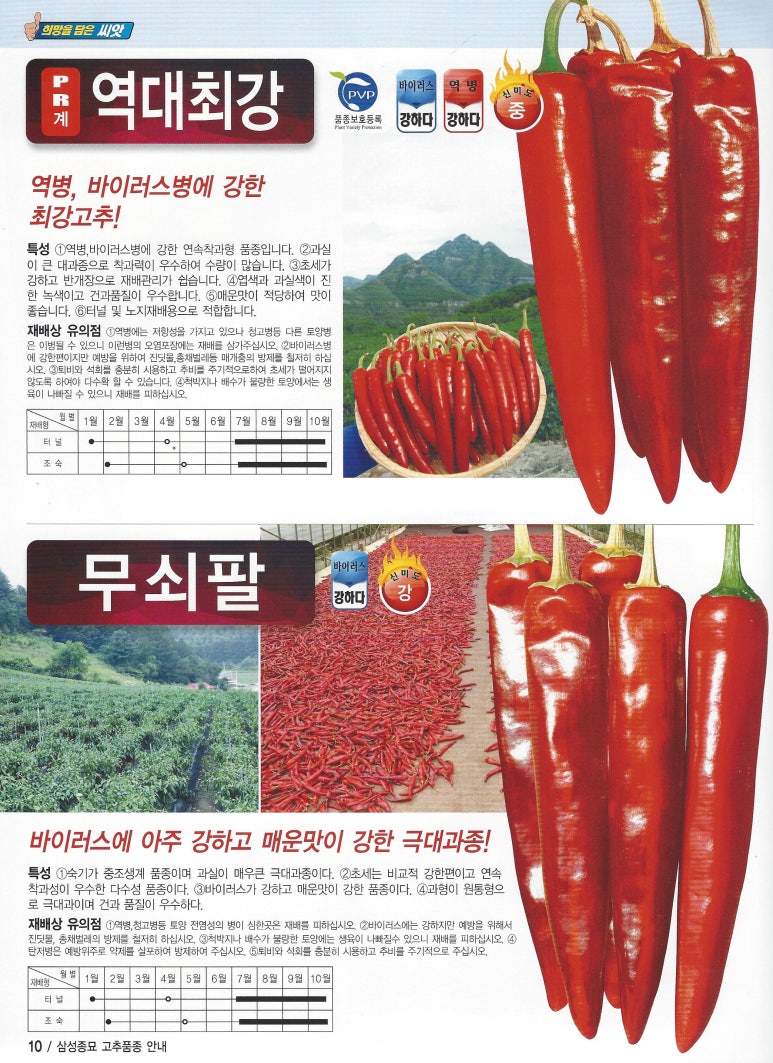 장성종묘 이미지