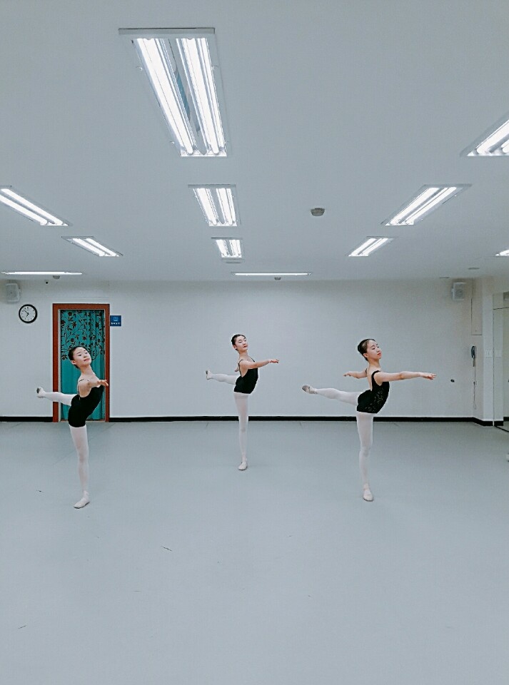 로잔발레학원 이미지