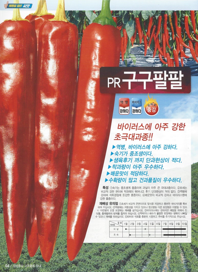 장성종묘 이미지