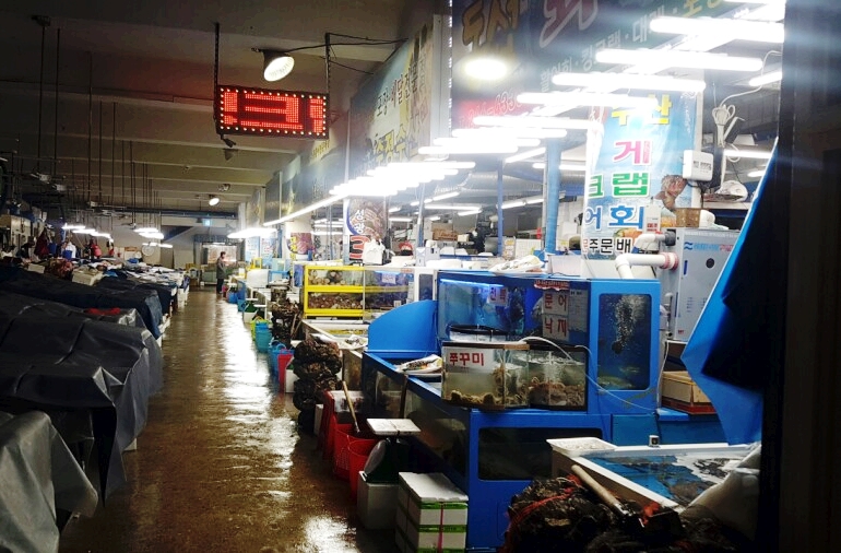 성광수산 이미지