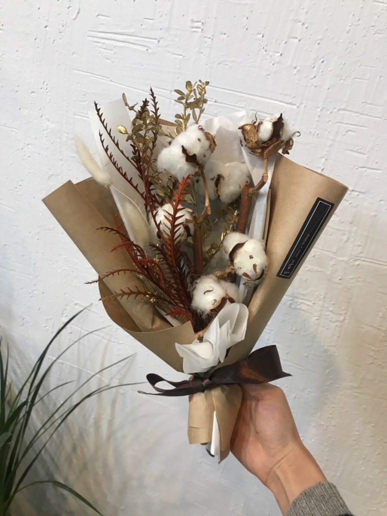 목화호프 이미지