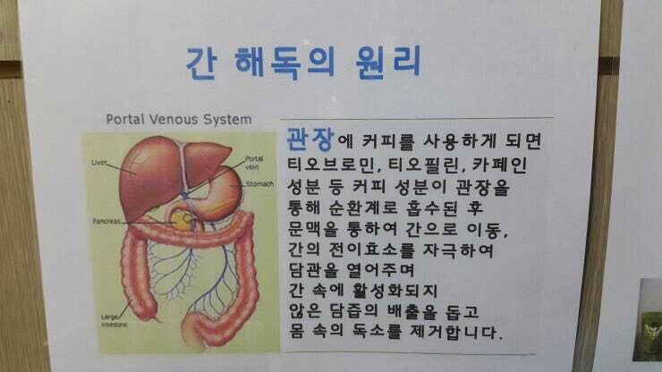 보고커피중 이미지
