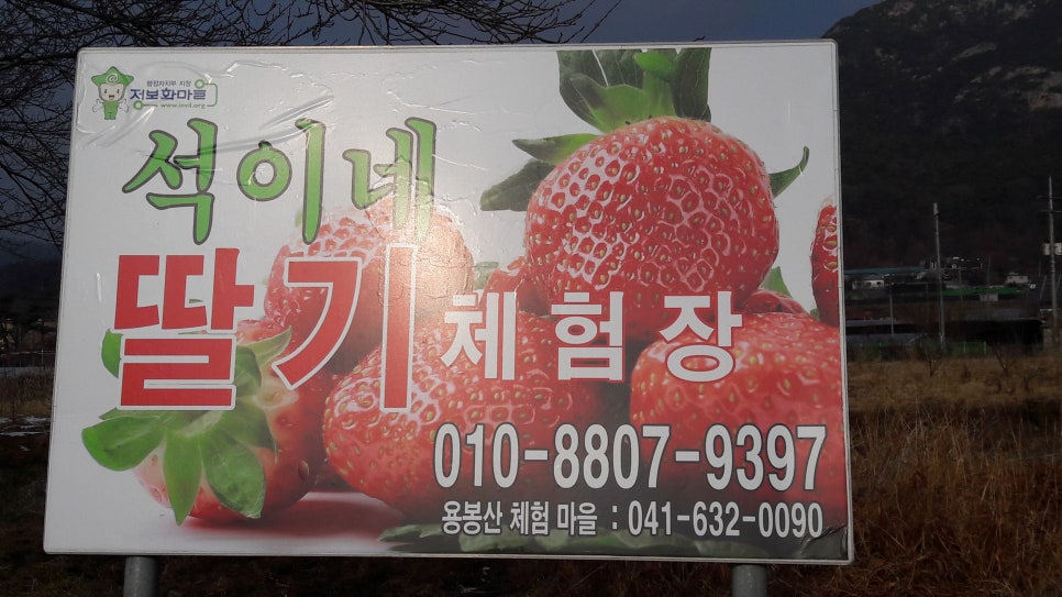 경석농장 이미지