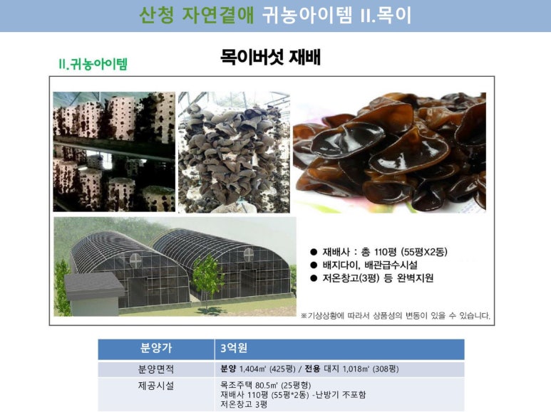 곁애 이미지