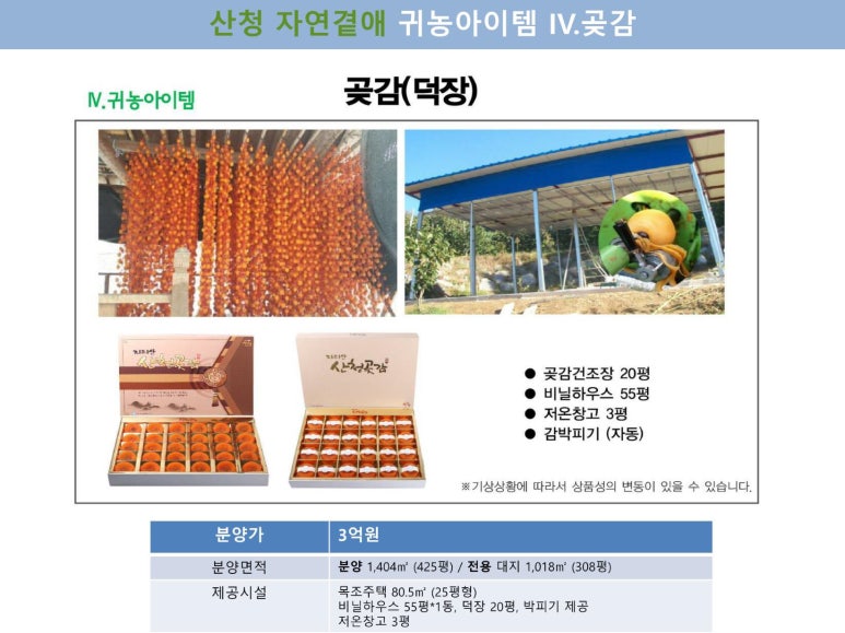 곁애 이미지