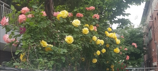 베스트원세무법인 이미지