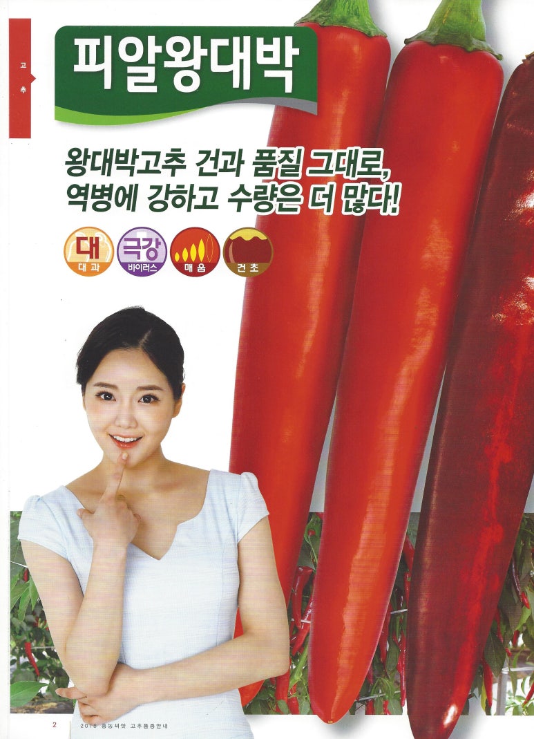 흥농종묘 이미지