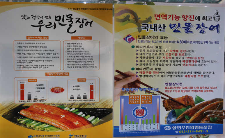영산강민물장어 이미지