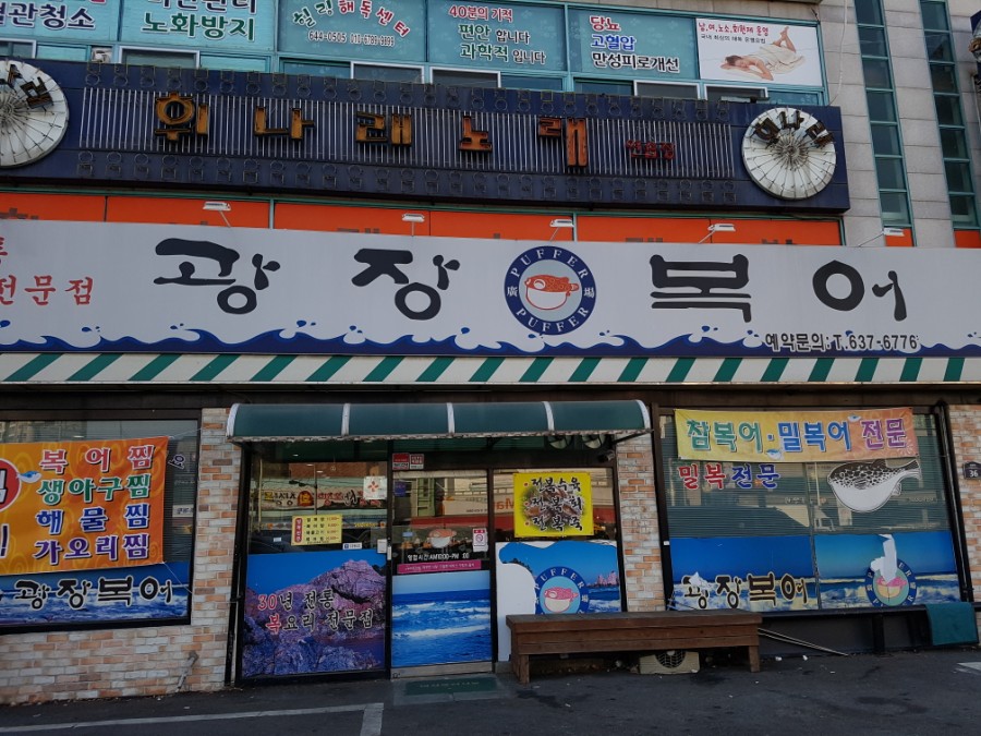 광장복어 이미지