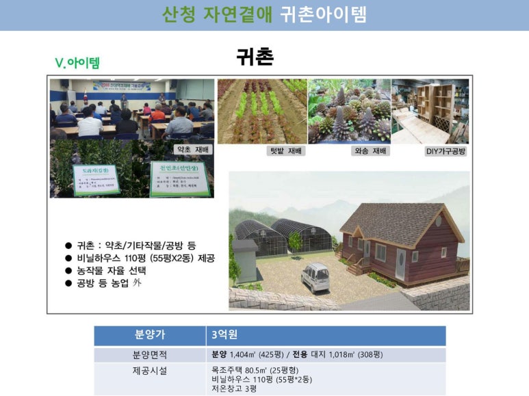 곁애 이미지
