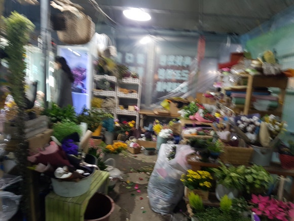 대림꽃농원 이미지