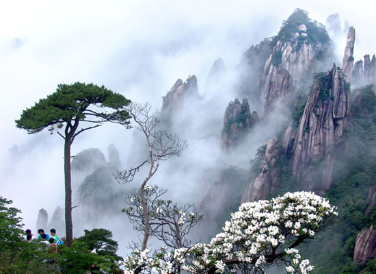 청산화원 이미지