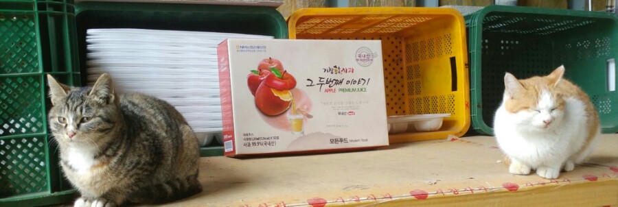대미광고 이미지
