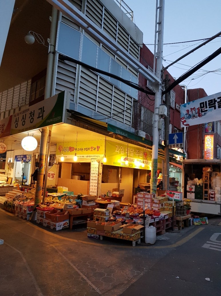 싱싱청과 이미지