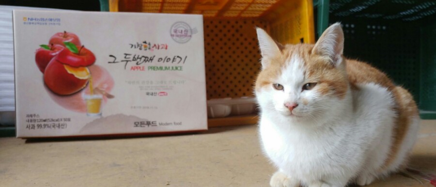 대미광고 이미지