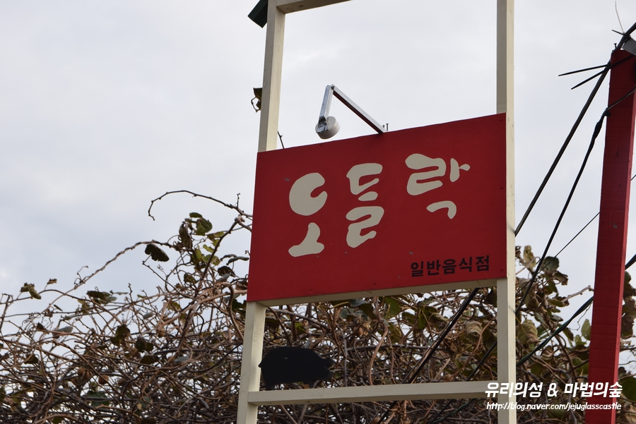 오들락 이미지