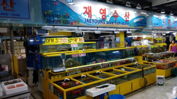 재영수산 이미지