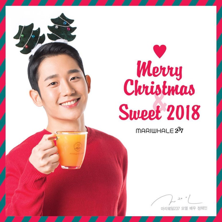 마리웨일237 이미지