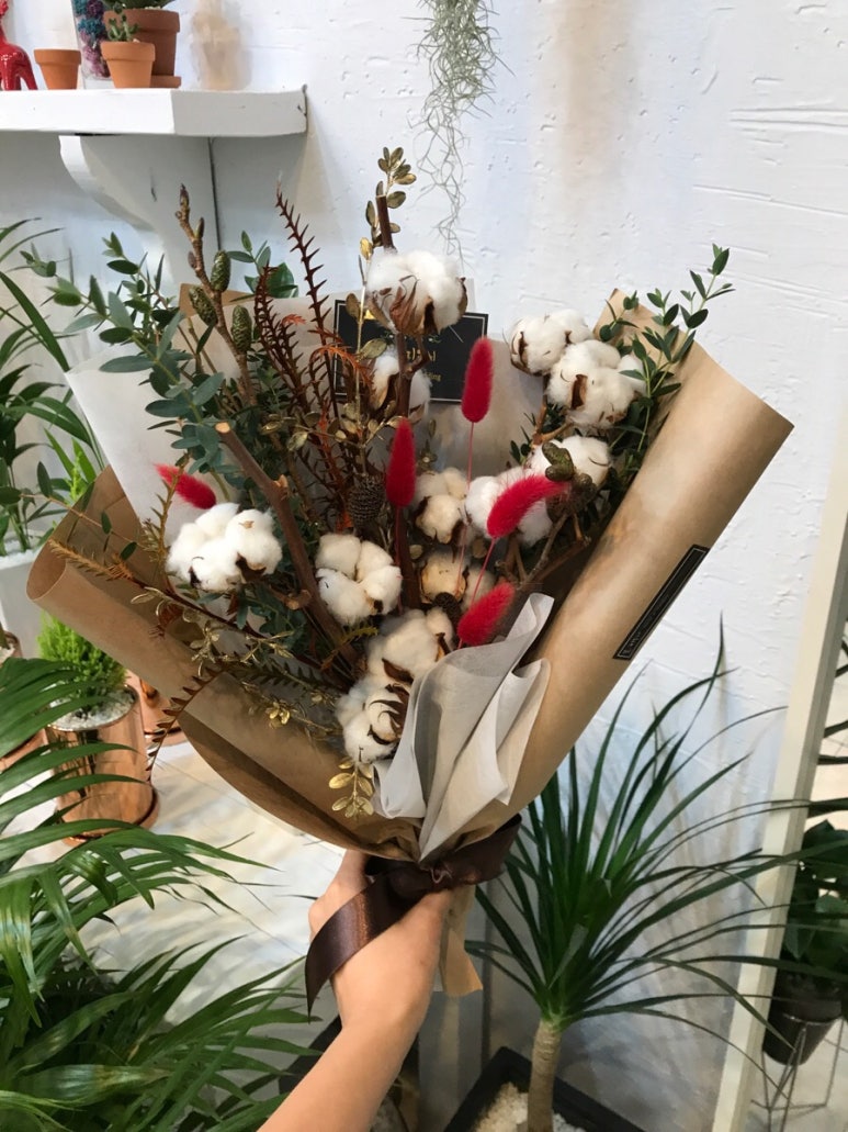 목화호프 이미지