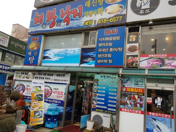 해왕낙지 이미지