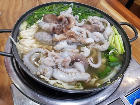 해왕낙지 이미지