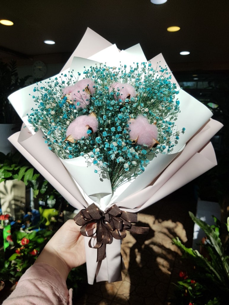 목화화원 이미지