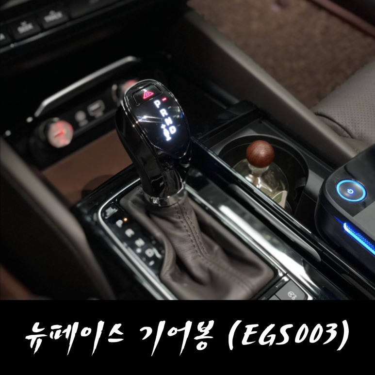 뉴앤트 이미지