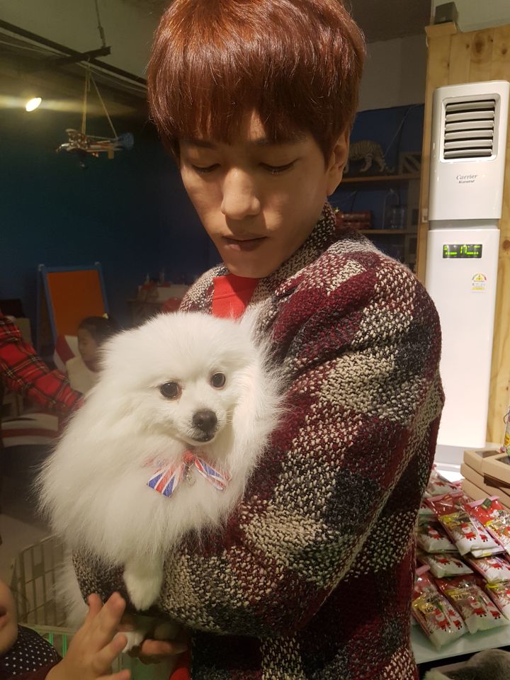 비니댄스 이미지