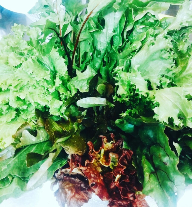 그리너리 테이블 이미지